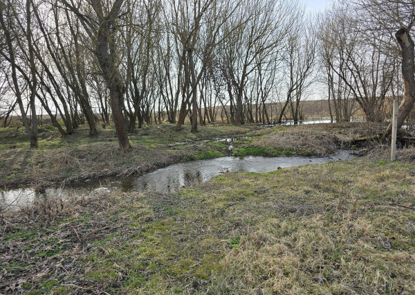 Stavebný pozemok - Pohronský Ruskov - 2233m2