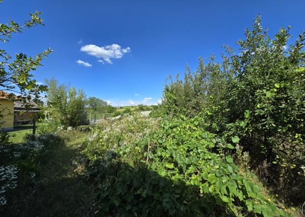 EXKLUZÍVNE - Rodinný dom - Dulovce - pozemok 1951m2