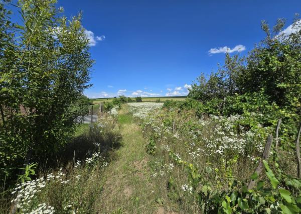 EXKLUZÍVNE - Rodinný dom - Dulovce - pozemok 1951m2