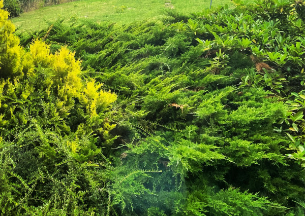 Stavebný pozemok so stavebným povolením na prestížnom Zobore