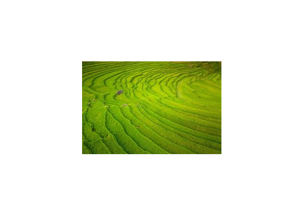 Pozemok  na Zobore s PD a stavebným povolením 1194 m2