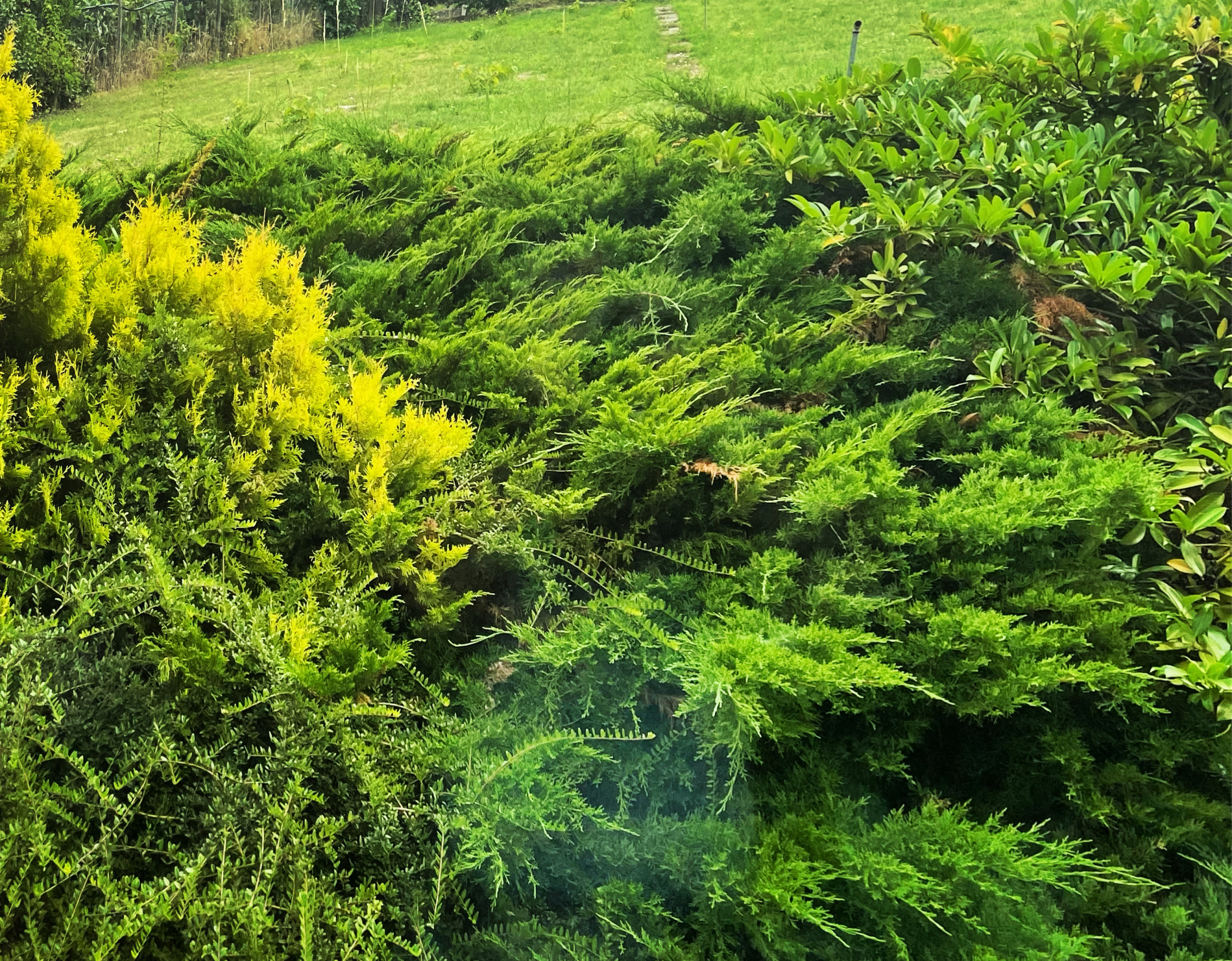 Stavebný pozemok so stavebným povolením na prestížnom Zobore