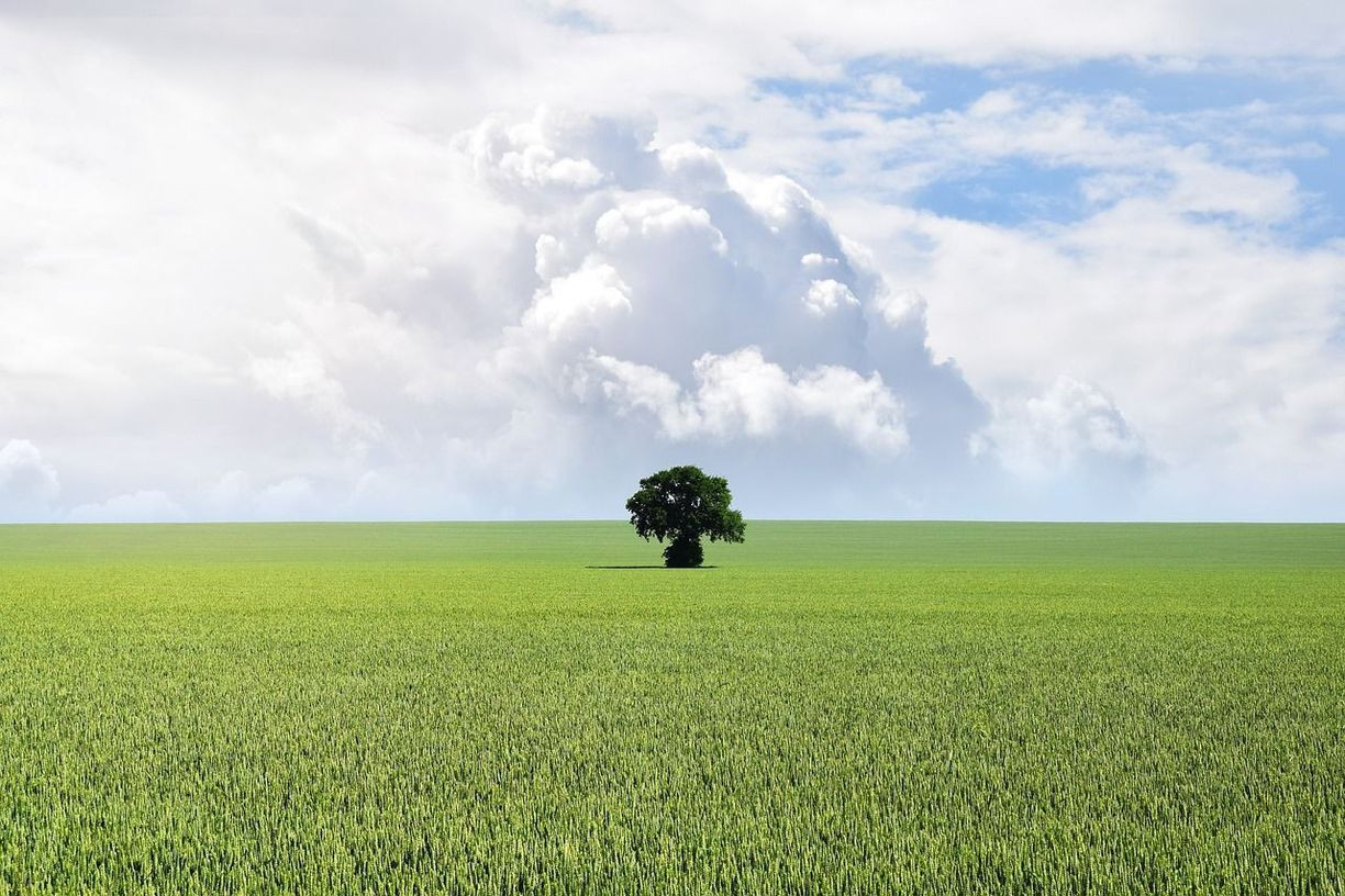 Väčší stavebný pozemok s povolením a projektom na Zobore