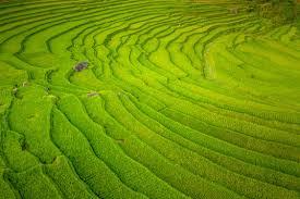 Pozemok  na Zobore s PD a stavebným povolením 1194 m2