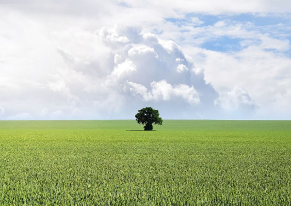 Na predaj krásny, ucelený a rovinatý pozemok v MČ Janíkovce