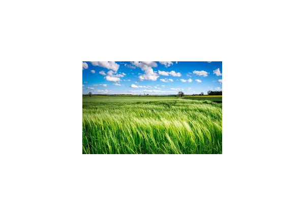 Predaj hodnotných pozemkov v areáli Výstaviska Agrokomplex