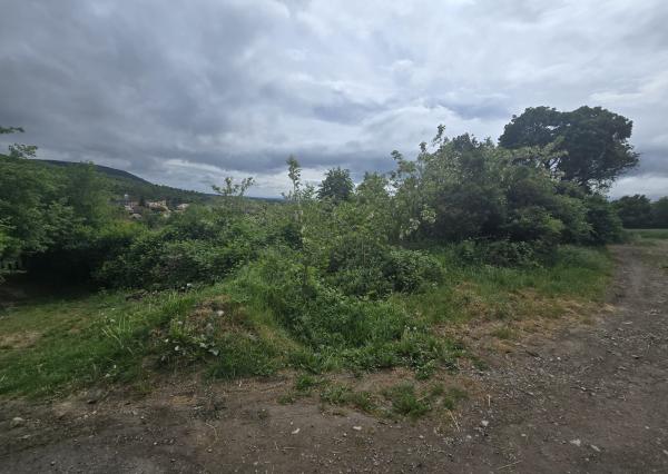 EXKLUZÍVNE - predaj stavebného pozemku - Kosihovce 1323m2