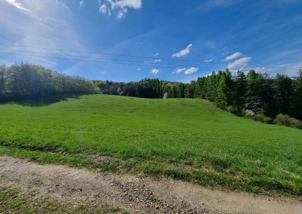 EXKLUZÍVNE - Veľké Pole, rozľahlý pozemok na samote - 16157m2