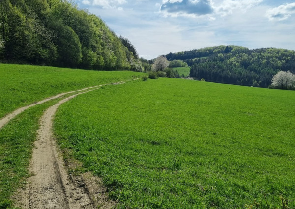 EXKLUZÍVNE - Malá Lehota, rozľahlý pozemok na samote - 16157m2