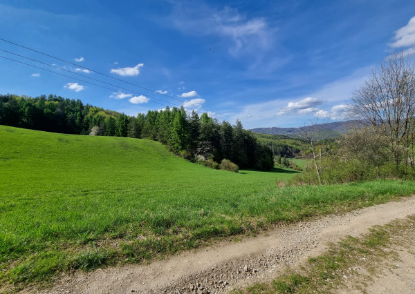 EXKLUZÍVNE - Malá Lehota, rozľahlý pozemok na samote - 16157m2