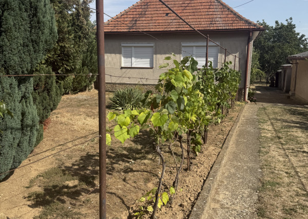 RODINNÝ DOM S 10-ÁROVOU ZÁHRADOU – ŠTITÁRE PRI NITRE