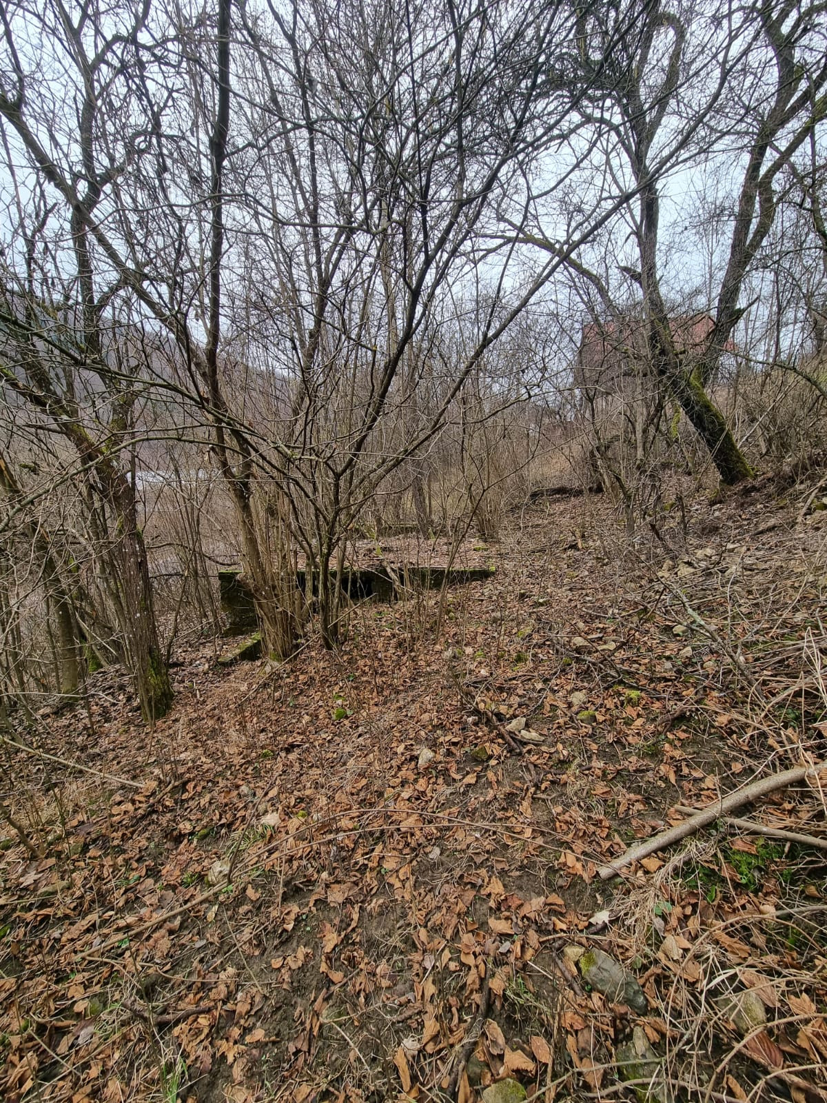 ZNÍŽENÁ CENA - Rekreačný pozemok - Horná Maríková - 1578m2